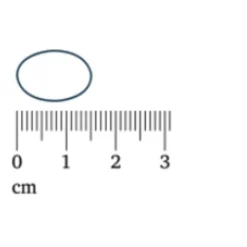 Lucovitaal Vitamine E 400 IE 100% Vegan 60 capsules