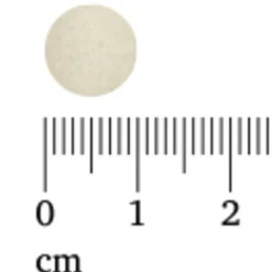 Lucovitaal Zwarte Knoflook 30 tabletten