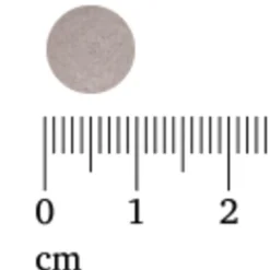 Lucovitaal Zwarte Knoflook Forte 60 tabletten