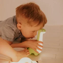 Mary's Nachtlamp Dinosaurus