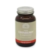 Mattisson Cranberry D-Mannose 90 tabletten