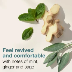 Mexx Simply Man Eau de Toilette 50 ml