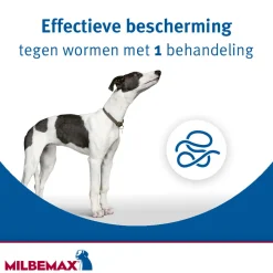 Milbemax Ontworming Tabletten Hond 5 - 75 kg 2 tabletten