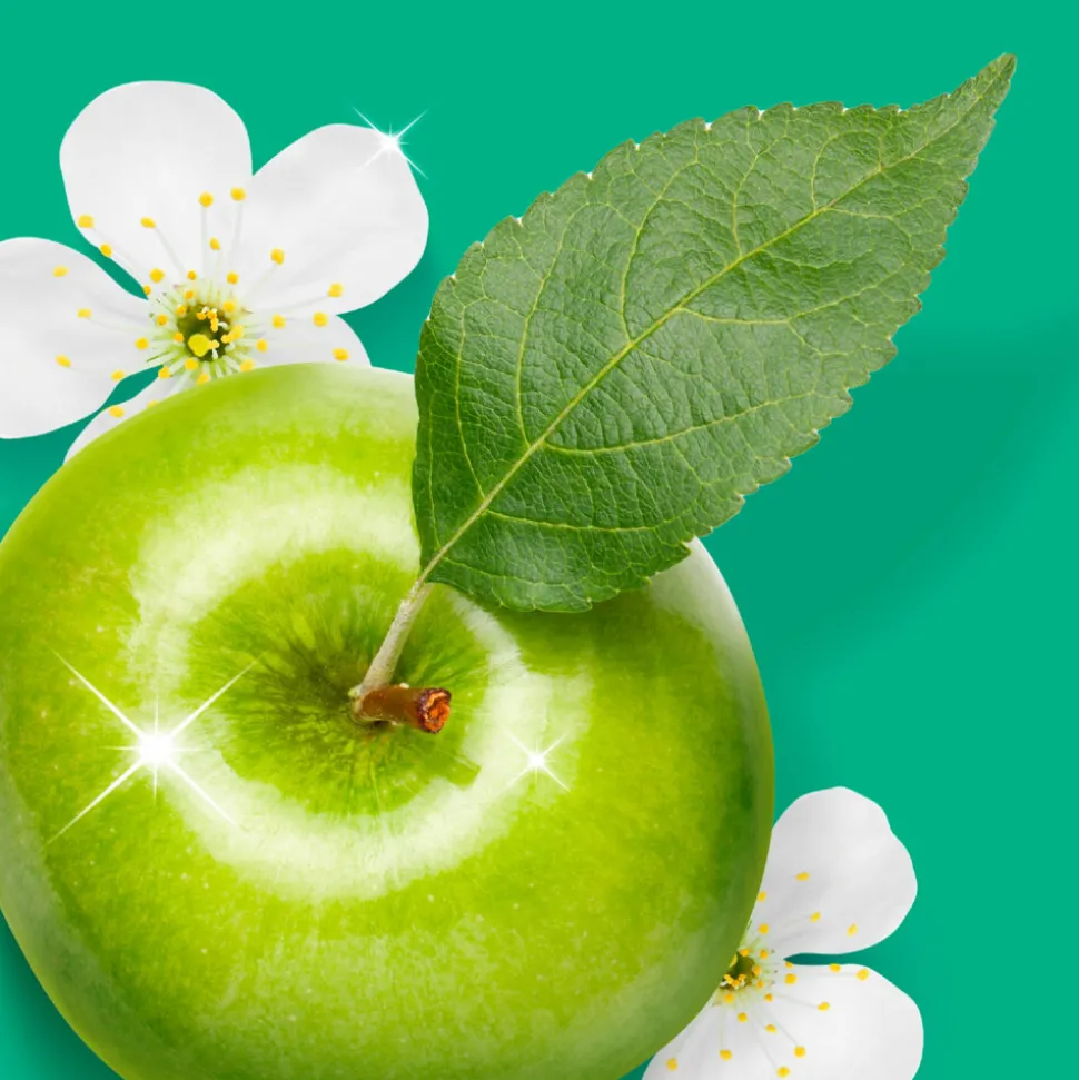 Mr. Propre Allesreiniger Appelbloesem 1 liter