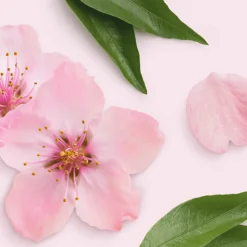 Mr. Propre Allesreiniger Sakura Bloesems 1 liter