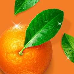 Mr. Propre Keukenontvetter Spray Mandarijn Boost 800 ml