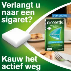 Nicorette Suikervrij Kauwgom Menthol Mint 2 mg 105 stuks