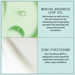 Nioxin Scalp Recovery Scalp Treatment 100 ml