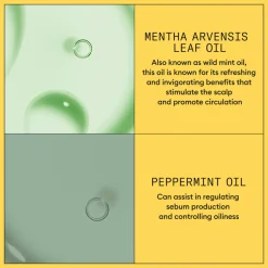 Nioxin System 1 Conditioner 300 ml