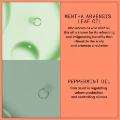 Nioxin System 4 Conditioner 300 ml