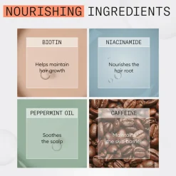 Nioxin System 4 Trial Kit 340 ml