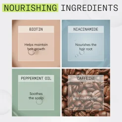 Nioxin System 2 Trial Kit 340 ml