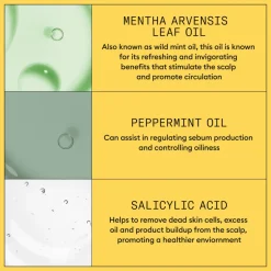 Nioxin System 1 Shampoo 300 ml