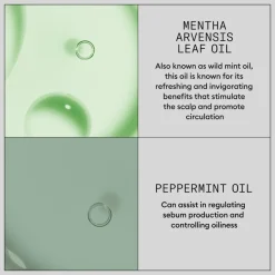 Nioxin Volumizing Droogshampoo 180 ml