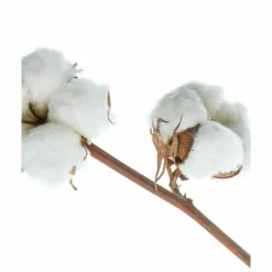 NIVEA Shampoo Classic Care 250 ml