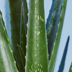 NIVEA Sun After Sun Hydrate Spray 200 ml