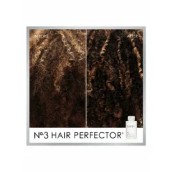 Olaplex No. 3 Hair Perfector Treatment 100 ml