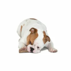 Petstages Dogwood Stick Bruin 14,0 x 21,6 x 3,8 cm