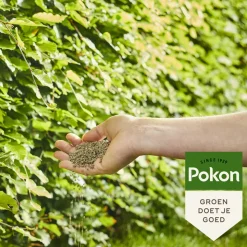 Pokon Beuken & Hagen Mest 10 kg