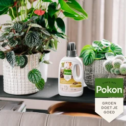 Pokon Bio Kamerplanten Voeding 500 ml