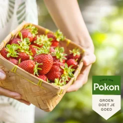 Pokon Bio Kleinfruit Mest 1 kg