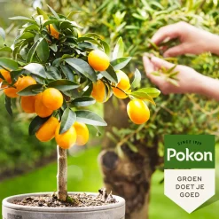 Pokon Bio Mediterrane Planten Voeding 500 ml