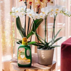 Pokon Bio Orchidee Voeding 250 ml