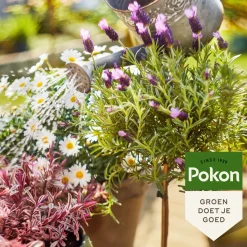 Pokon Bio Terras & Balkon Planten Voeding 500 ml