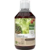 Pokon Biologische Kuur Voor Weerbare en Gezonde Planten Concentraat 500 ml