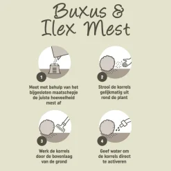 Pokon Buxus en Ilex Mest 1 kg