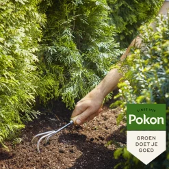 Pokon Conifeer & Taxus Mest 1 kg