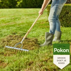 Pokon Graszaad Herstel 500 gr