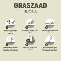 Pokon Graszaad Herstel 2 kg