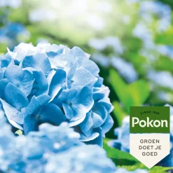 Pokon Hortensia Blauwmaker 500 gr