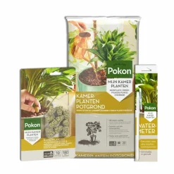 Pokon Kamerplanten Oppot Pakket