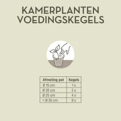 Pokon Kamerplanten Voedingskegels 10 stuks
