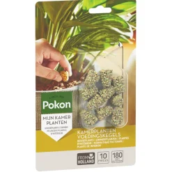 Pokon Kamerplanten Voedingskegels 10 stuks