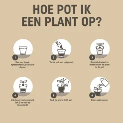 Pokon Moestuin Grond Biologisch 10 liter