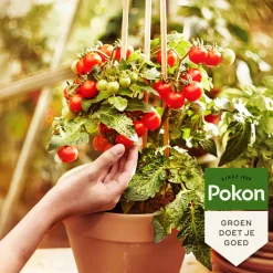 Pokon Moestuin Grond Biologisch 10 liter