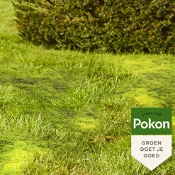 Pokon Mos Weg 1,75 kg voor 50 m²