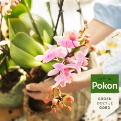 Pokon Planten Voeding Orchidee 500 ml