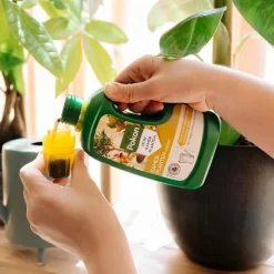 Pokon Plantenvoeding Kamerplanten 500 ml