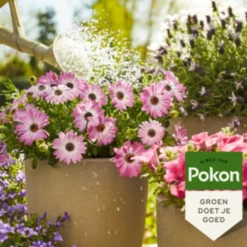 Pokon Plantenvoeding Terras & Balkon 500 ml