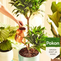Pokon Potgrond Kamerplanten 10 liter