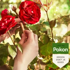 Pokon Rozen Mest 1 kg