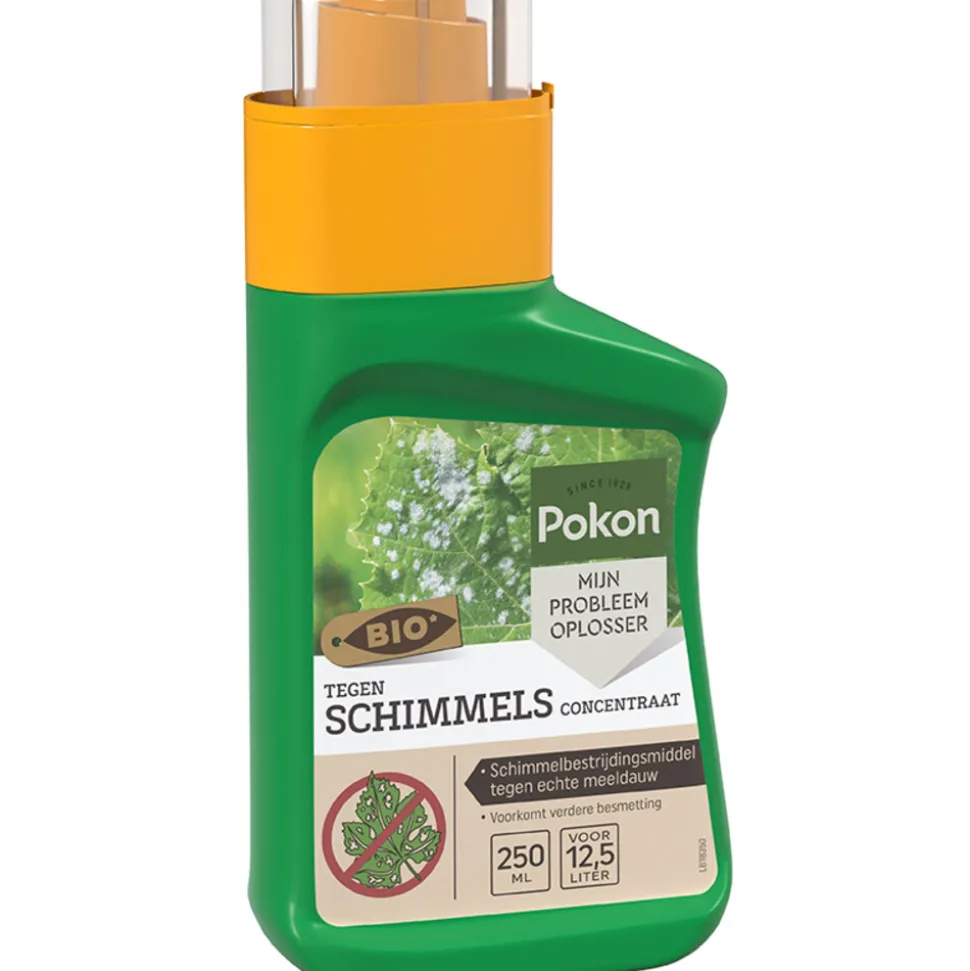 Pokon Tegen Schimmels Concentraat 250 ml