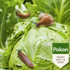 Pokon Tegen Slakken Korrels Biologisch 225 gr