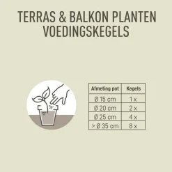 Pokon Terras & Balkon Planten Voedingskegels 10 stuks
