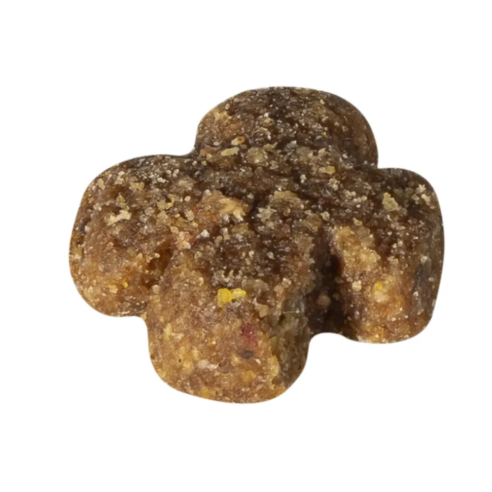 Prins Fit Selection Senior Hondenvoer 2 kg