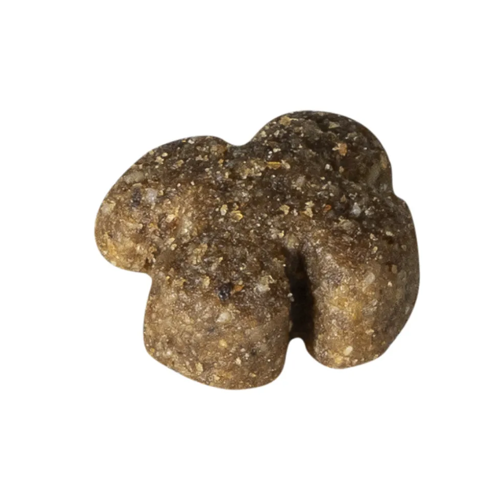 Prins Fit Selection Zalm & Rijst Hondenvoer 2 kg